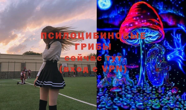 альфа пвп Нягань