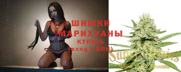 соль ск Няндома