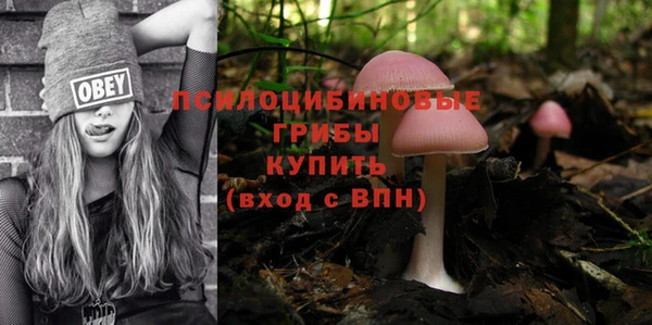 ECSTASY Остров